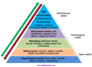 The Five Basic Human Needs - Wholeness Bliss